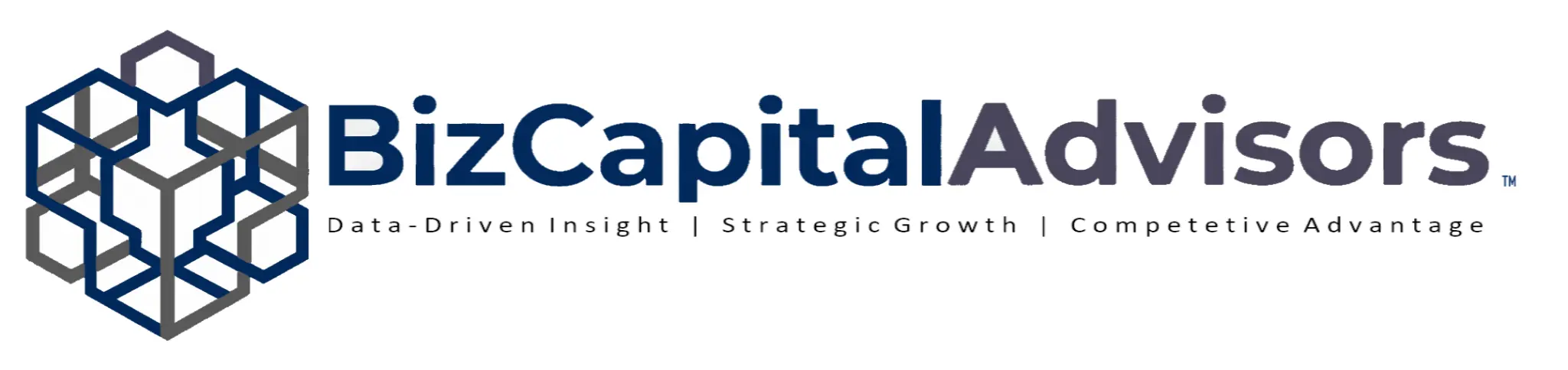 BizCapital Advisors - Data-Driven Insight, Strategic Growth, Competitive Advantage